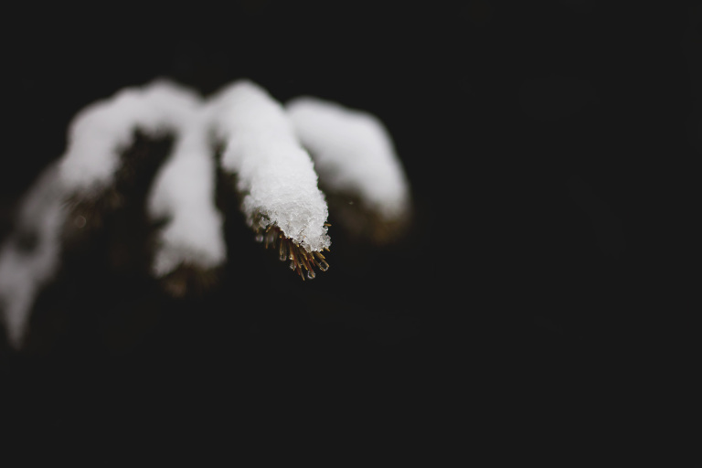 Rebeccah Parks Photography_Where We Live