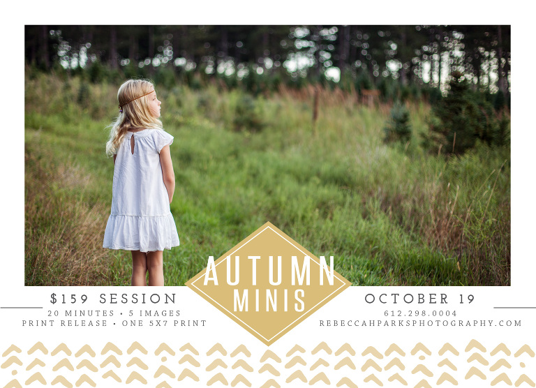 Anoka MN Autumn Minis