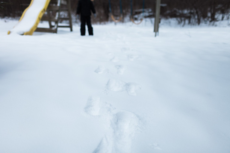 Anoka MN Photographer_15