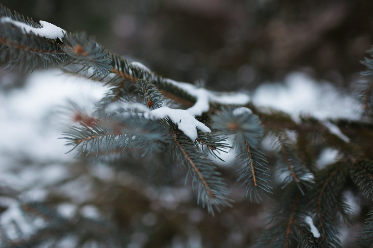 Anoka MN Photographer_25