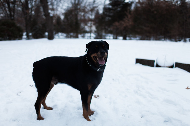 Anoka MN Photographer_30