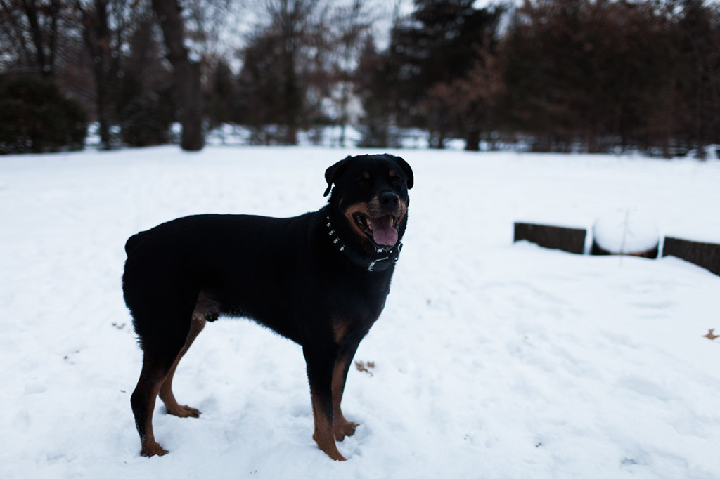 Anoka MN Photographer_30