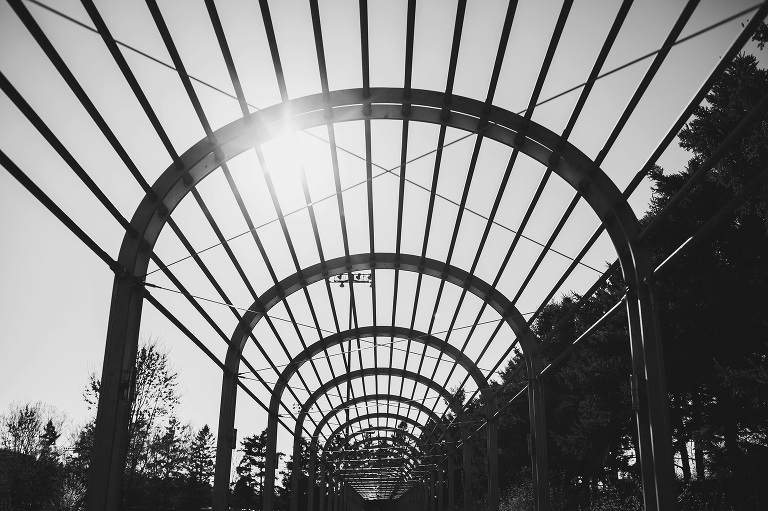 Minneapolis Street Photography