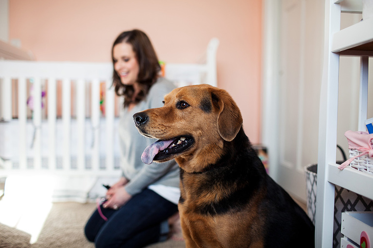 Rogers MN Family Photography