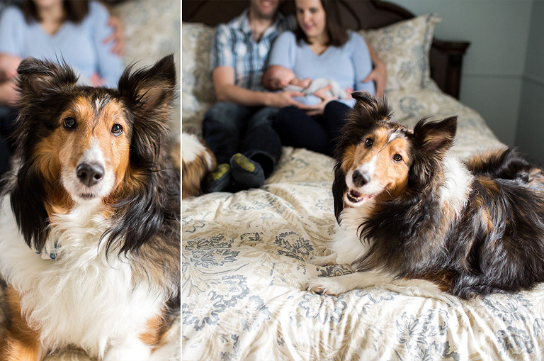 Minneapolis Newborn Photographer_Rebeccah Parks Photographer